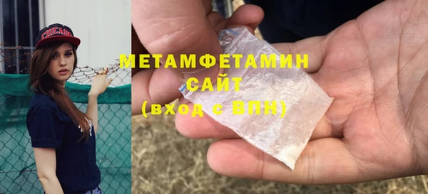 ПСИЛОЦИБИНОВЫЕ ГРИБЫ Богданович