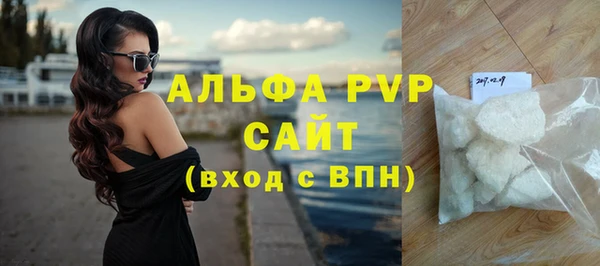 гидра Богородск