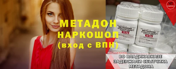 ПСИЛОЦИБИНОВЫЕ ГРИБЫ Богданович