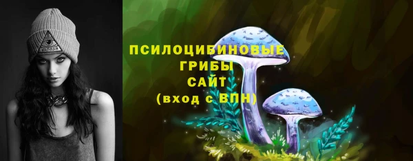ПСИЛОЦИБИНОВЫЕ ГРИБЫ Богданович