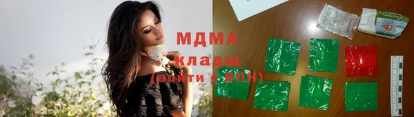 ПСИЛОЦИБИНОВЫЕ ГРИБЫ Богданович