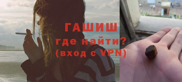 гидра Богородск