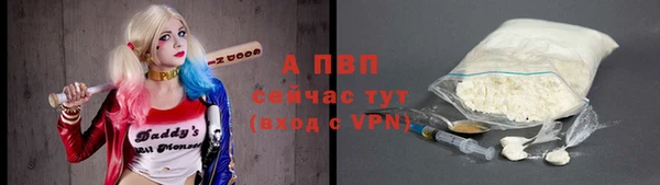 гидра Богородск