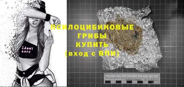ПСИЛОЦИБИНОВЫЕ ГРИБЫ Богданович