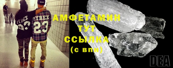 гидра Богородск