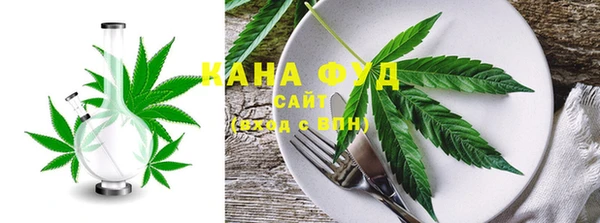 гидра Богородск