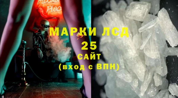 ПСИЛОЦИБИНОВЫЕ ГРИБЫ Богданович